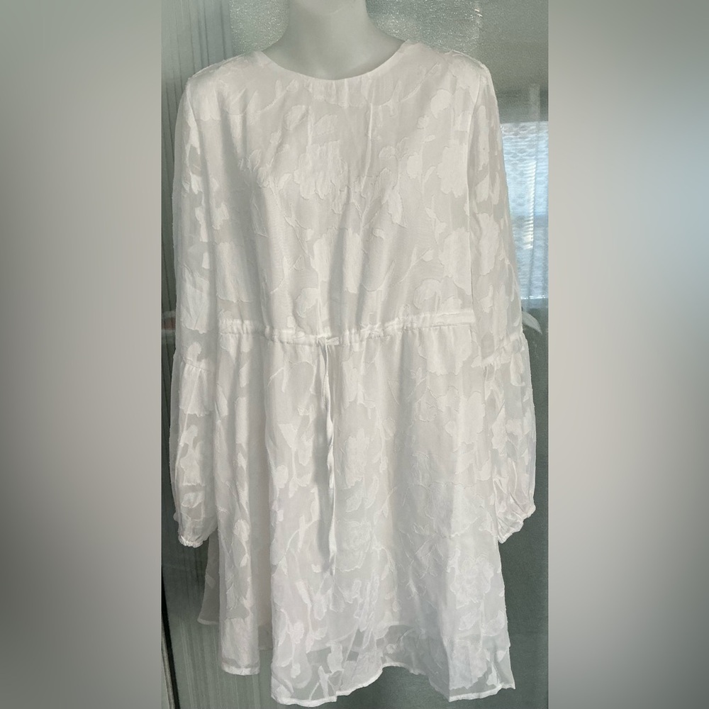 White long-sleeve dress with a floral burnout texture and a waist tie.